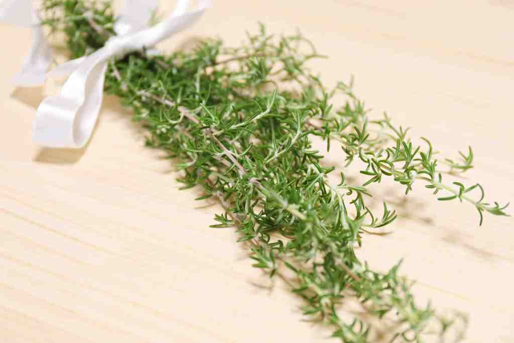 朝の香り の代名詞 ローズマリー キチラブ